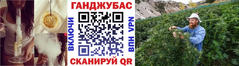 Марихуана Тайшет