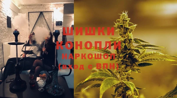 ГАЛЛЮЦИНОГЕННЫЕ ГРИБЫ Алексеевка