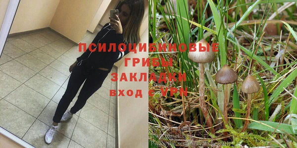 винт Алексин