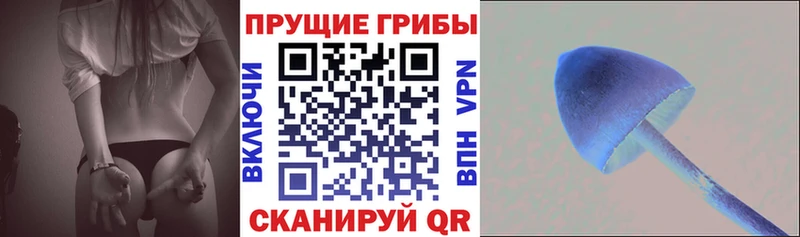наркошоп  Тайшет  Галлюциногенные грибы MAGIC MUSHROOMS 
